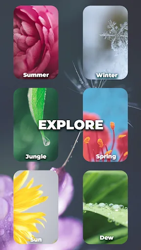 Word Crossed: Word puzzle game screenshot 5