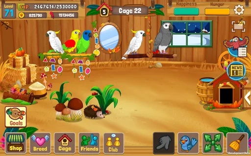 Bird Land: Pet Shop Bird Games screenshot 5
