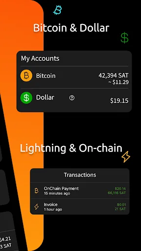 Blink (Bitcoin Wallet) screenshot 2