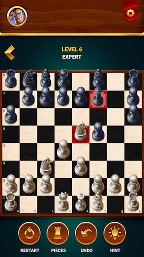 Шахматы - офлайн игра screenshot 3