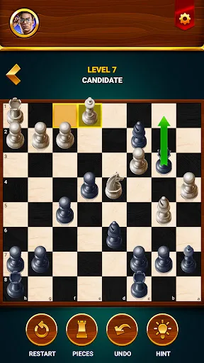 Шахматы - офлайн игра screenshot 5