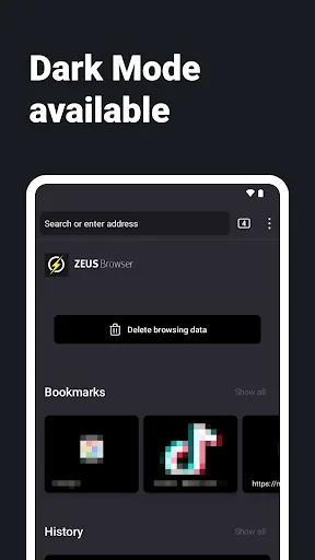 Internet Web Browser - ZEUS screenshot 2