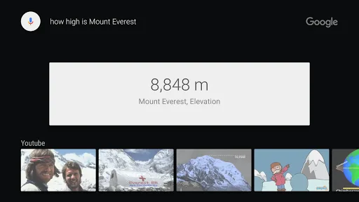Google app for Android TV screenshot 3