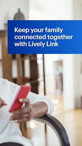 Lively Link screenshot 2