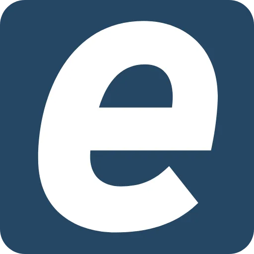 e-Regnskab
