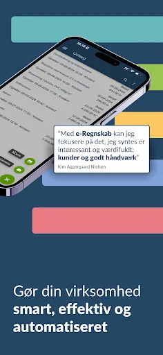 e-Regnskab screenshot 5