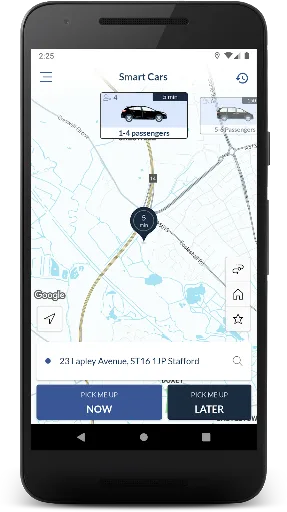 Smart Cars Taxis screenshot 3