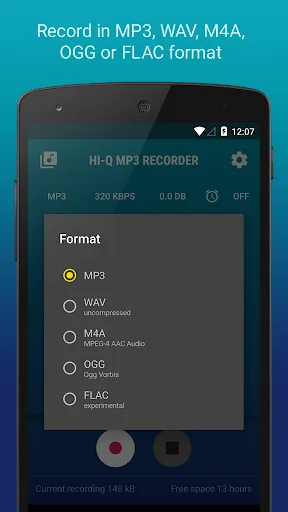 Hi-Q MP3 Voice Recorder (Pro) screenshot 5
