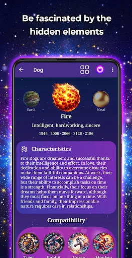 Chinese Horoscope - Zodiac screenshot 3