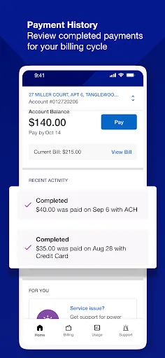National Grid screenshot 5