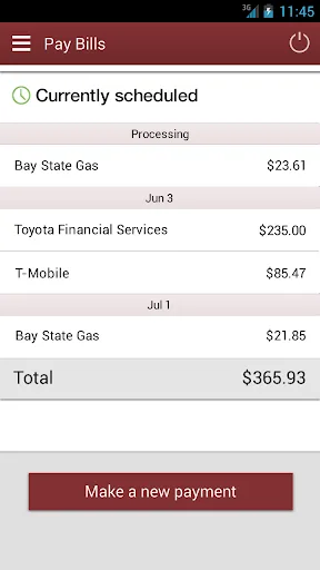 BankSouth screenshot 3