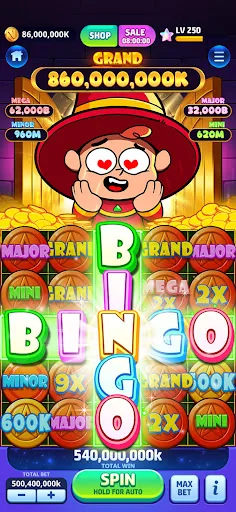 Vegas Frenzy screenshot 2