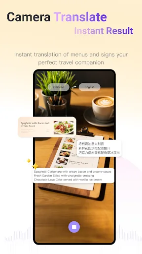 ViiTor Translate:Voice and AR screenshot 4