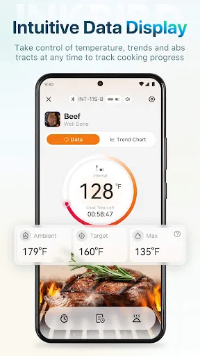 INKBIRD screenshot 2