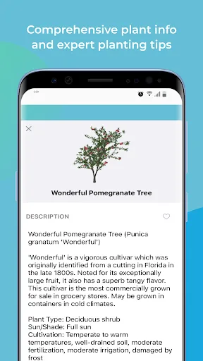 iScape: Landscape Design App screenshot 5