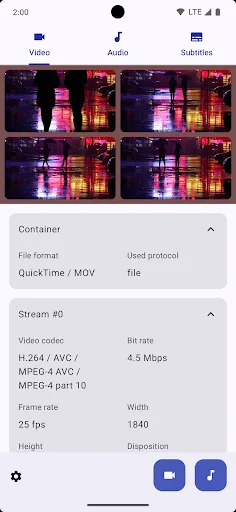 WhatTheCodec screenshot 2