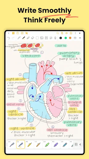 Jnotes: AI Note-taking & PDF screenshot 2