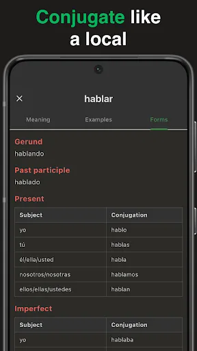 Wey: Mexican Dictionary screenshot 2