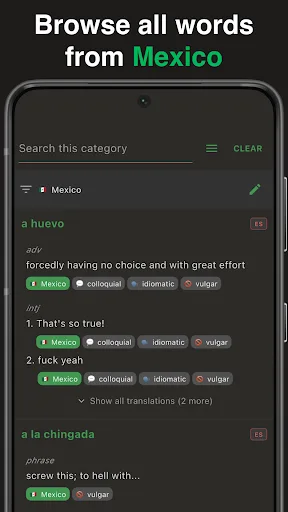 Wey: Mexican Dictionary screenshot 3