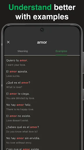 Wey: Mexican Dictionary screenshot 4