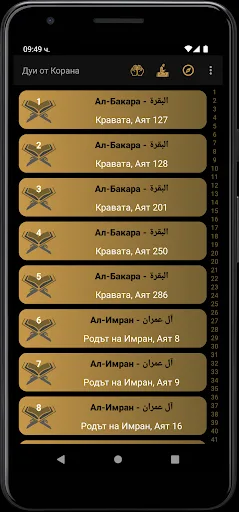 Джамия Брезница screenshot 1