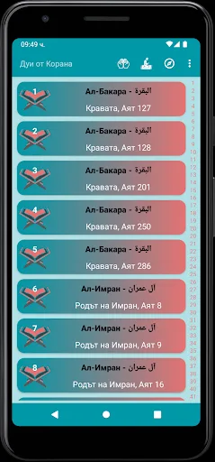 Джамия Брезница screenshot 2