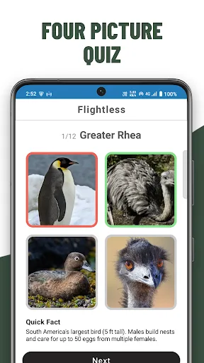 Birds Quiz Guess Species screenshot 2