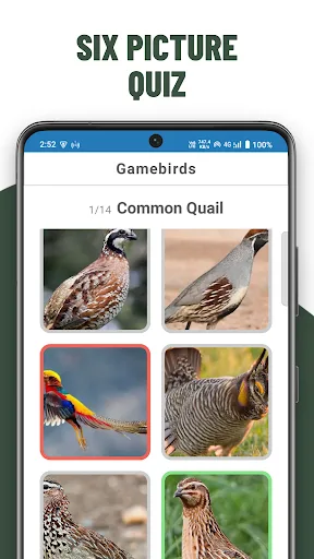 Birds Quiz Guess Species screenshot 3