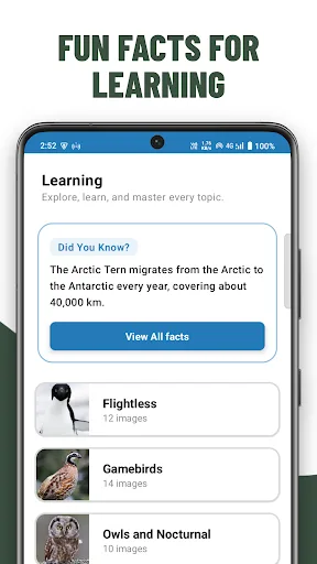 Birds Quiz Guess Species screenshot 4