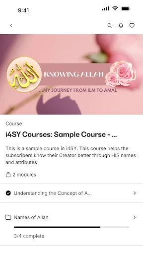 i4SY screenshot 2