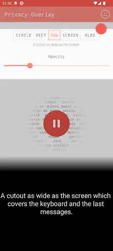 Privacy Overlay screenshot 2