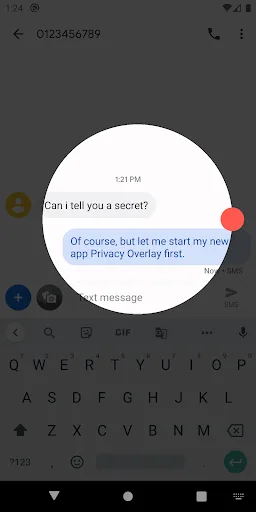 Privacy Overlay screenshot 5