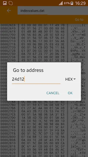 Binary Viewer screenshot 3
