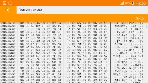 Binary Viewer screenshot 4