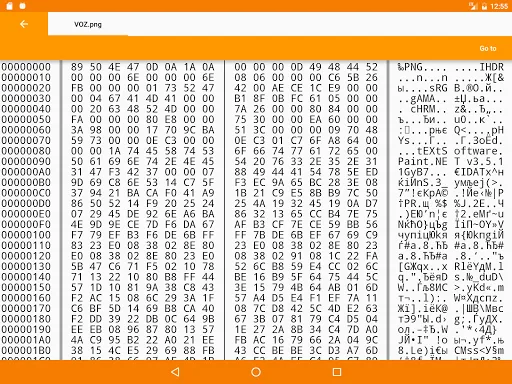 Binary Viewer screenshot 5