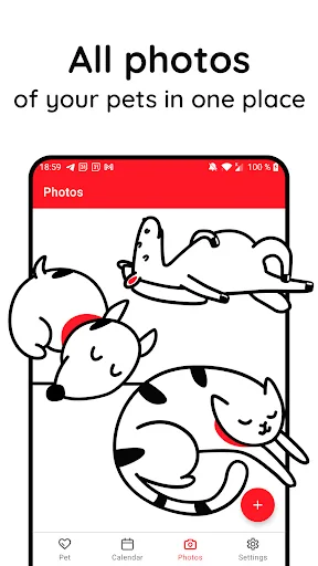4Paws screenshot 5