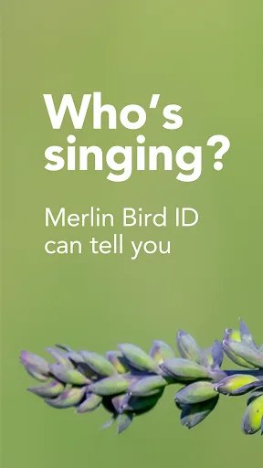 Merlin Bird ID by Cornell Lab screenshot 1