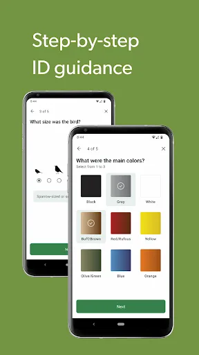 Merlin Bird ID by Cornell Lab screenshot 5