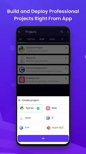 Fibu: Coding for Teens screenshot 5