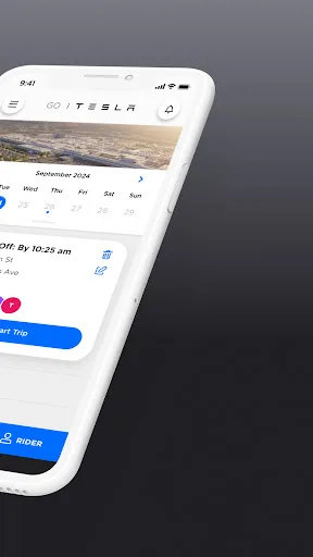 Go Tesla screenshot 3