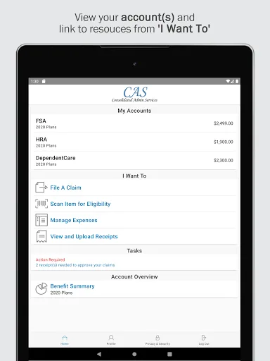 Consolidated Admin Services screenshot 5