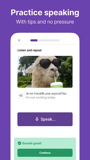 Learn French fast - Lilata screenshot 3