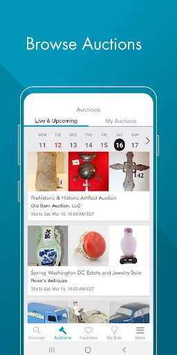 LiveAuctioneers screenshot 3