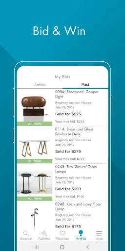 LiveAuctioneers screenshot 5