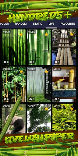 bamboo wallpaper screenshot 3