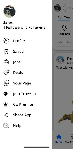Townsay screenshot 1