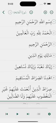 Dar Al Sunnah screenshot 5