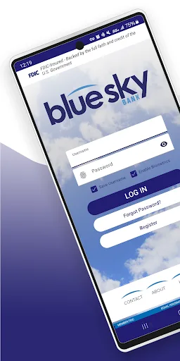 Blue Sky Bank Consumer screenshot 1