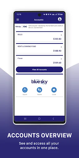 Blue Sky Bank Consumer screenshot 3