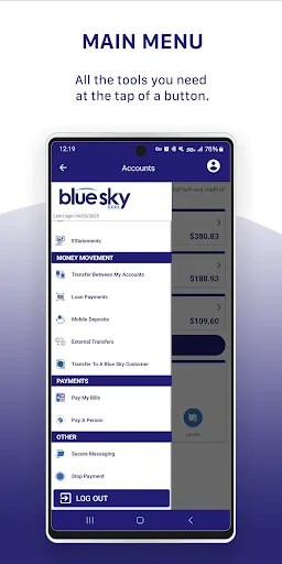 Blue Sky Bank Consumer screenshot 4